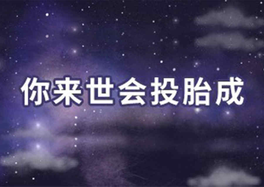 测测你来世会投胎成什么